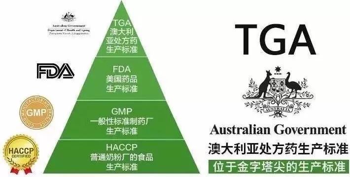 新澳2024年正版资料7456 5,探索神秘文化之旅_精英款.5.544