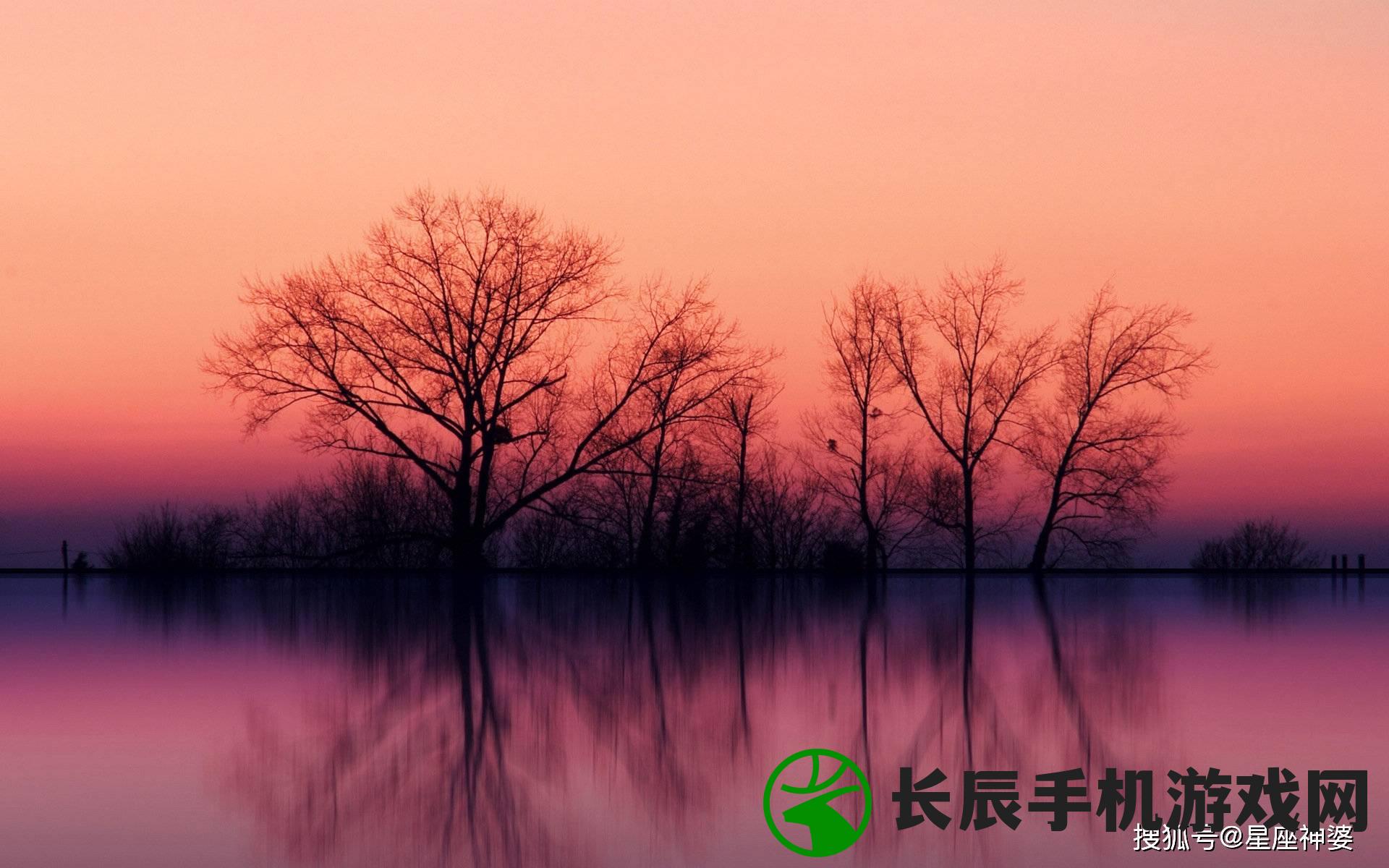 600图库大全免费资料图2024,自然之美与心灵之旅_实验版.6.549
