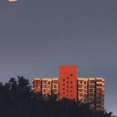 2024年新澳门天天开彩免费资料凯旋门图片,探讨2024年的新方法与趋势_社群款.4.106