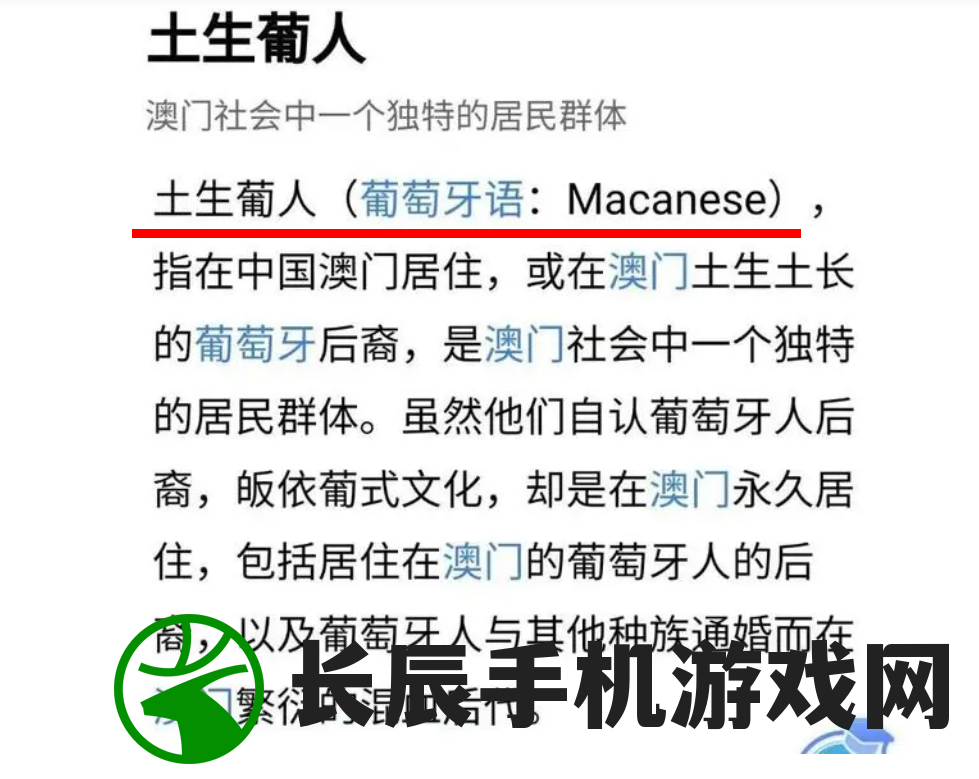 澳门一码一肖一待一中四不像，揭秘玩家热议的中四概念是怎样炼成的？
