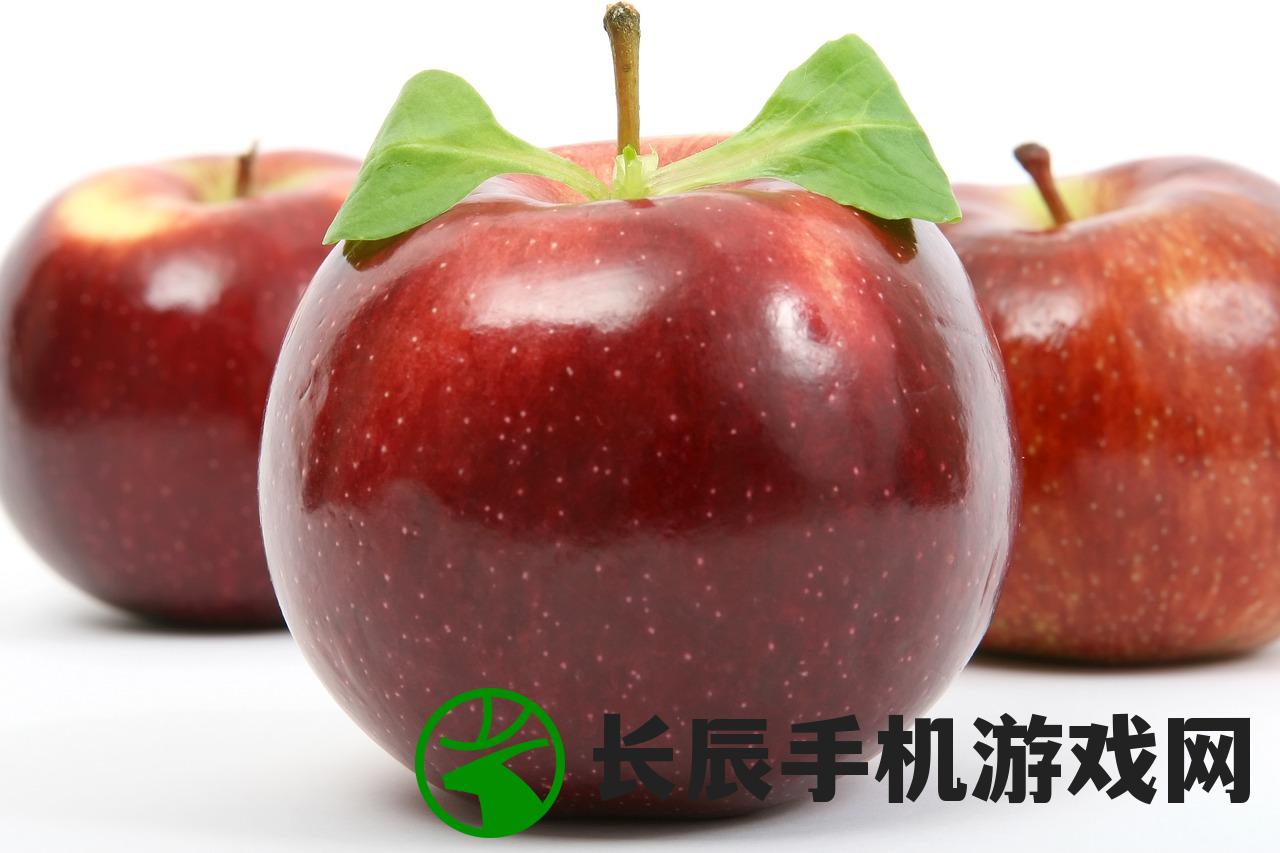 新澳2024年最新版资料7456：全方位解读，深度探讨未来发展方向