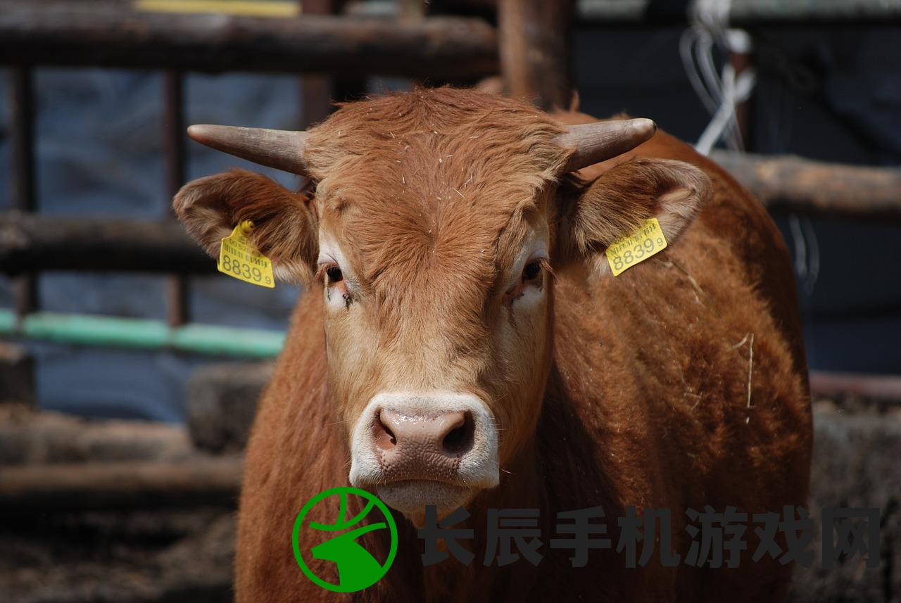今晚9点30分是哪个生肖？不妨来看看今晚会开出什么生肖"。