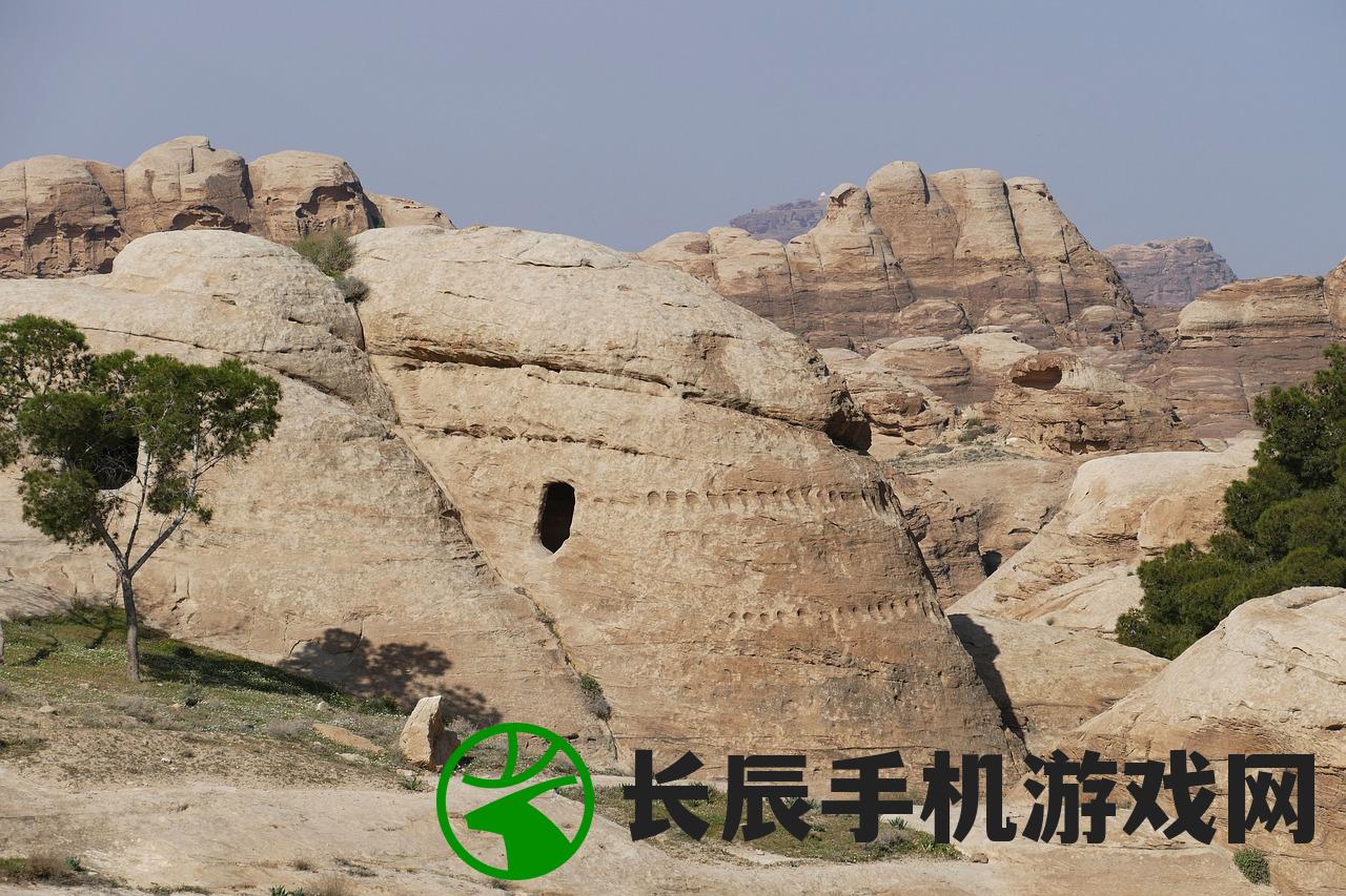 (澳门精准天天彩特料1码不定期公开)澳门天天免费精准大全|实地研究解释落实_HT.2.530