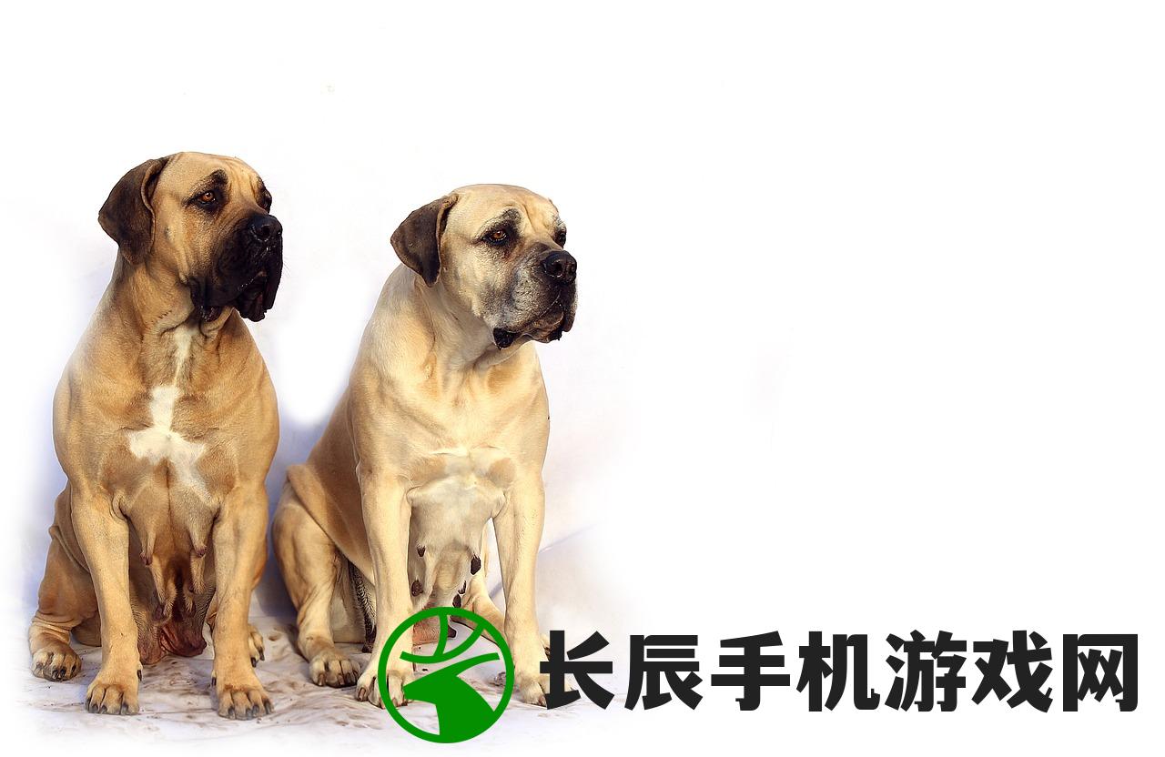 (2012年澳门资料免费大全)2024年正版资料免费大全功能介绍|探索澳门的秘密与美景_Deice.9.686
