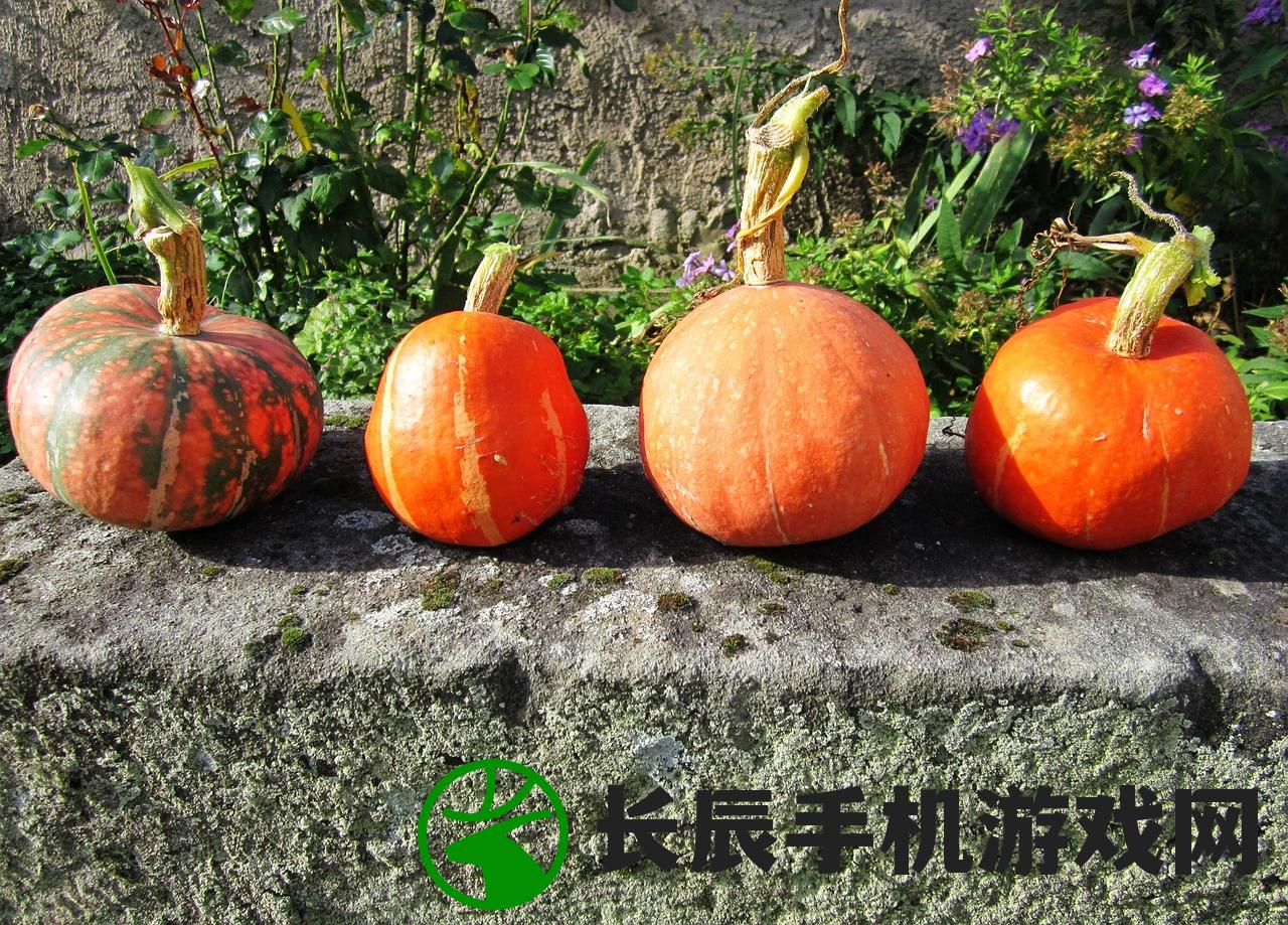 (蔬菜乐园)在乐缤纷庄园农场上采摘新鲜青菜叶的乐趣