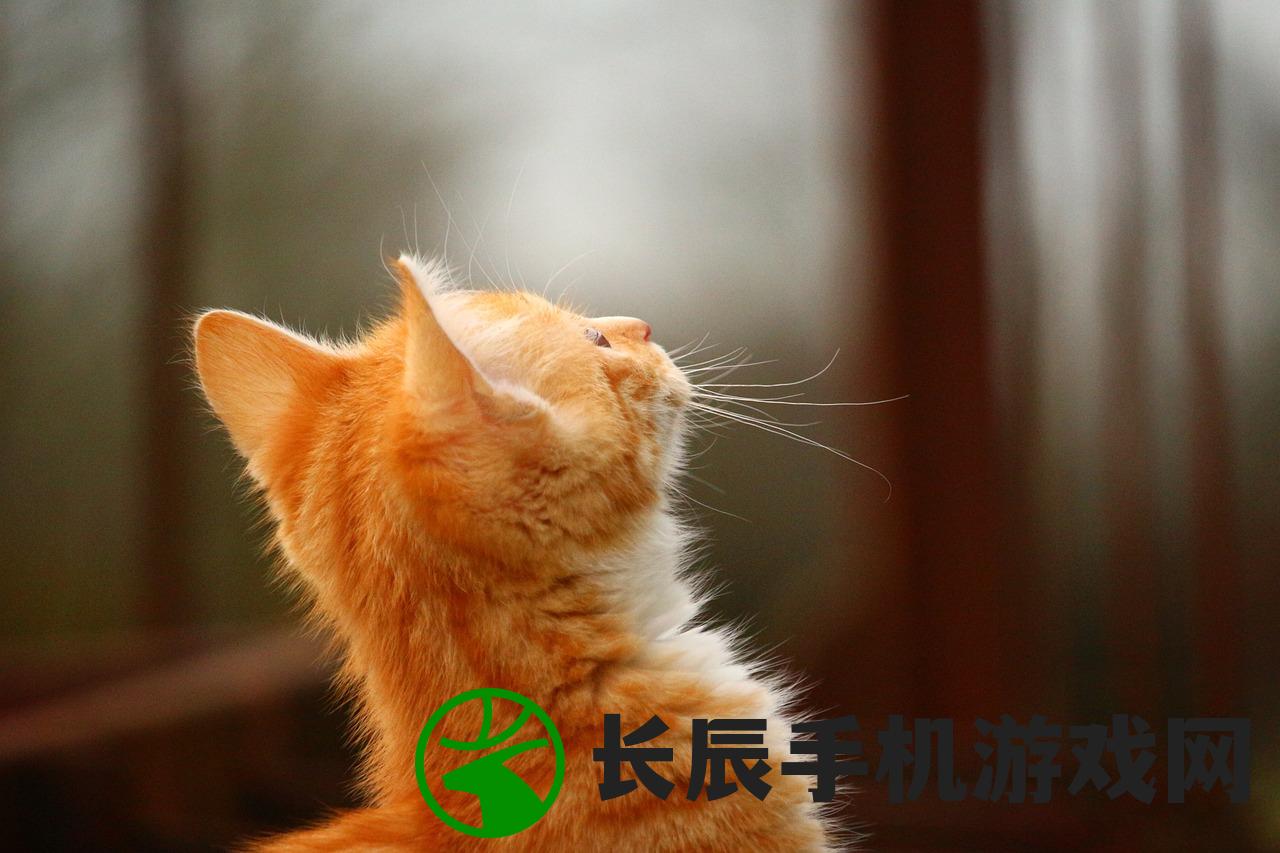 (香港今晚开什么码结果142)2O24香港今晚开码|动态分析解释落实_UHD版.3.128