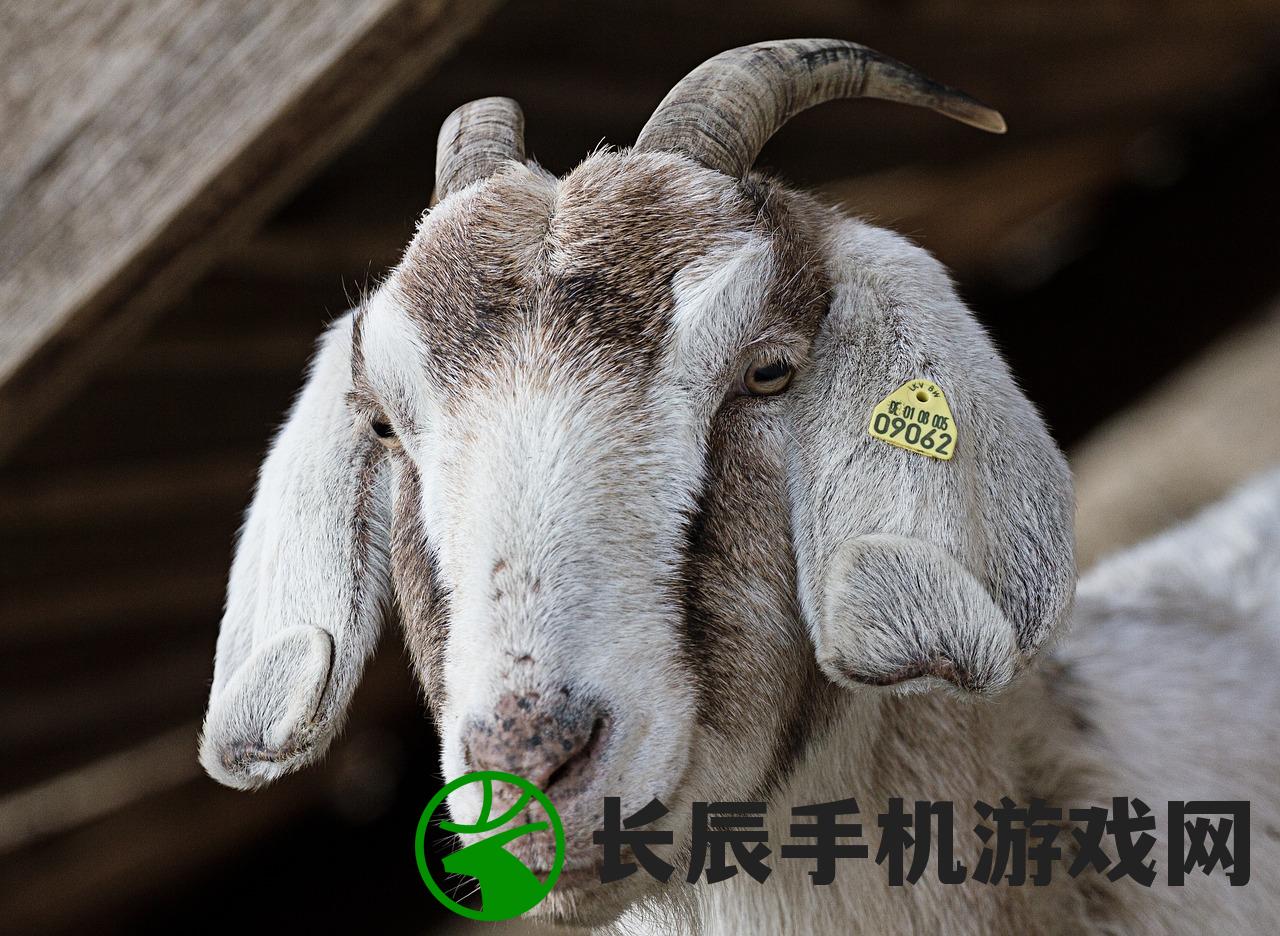 (数独测试)数独捡珠子规则详解：如何有效解答数独难题并提高观察力