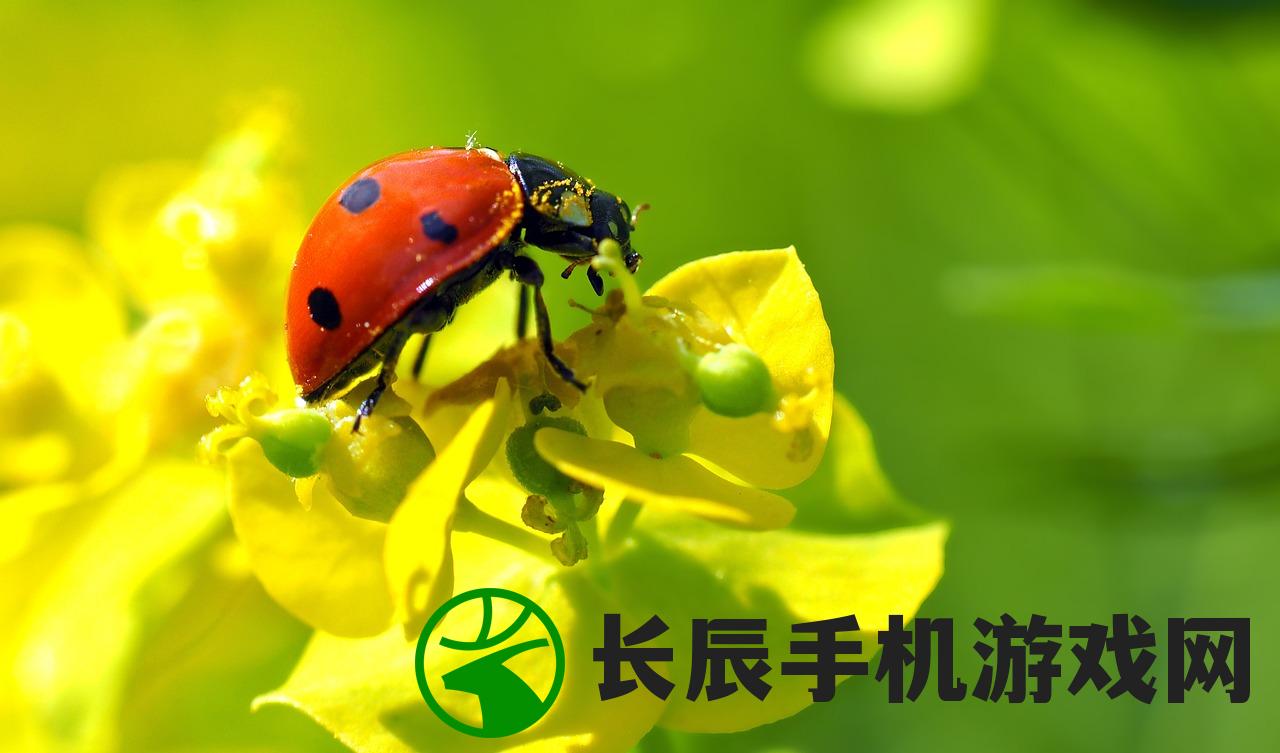 (金钥匙高手论网址)金钥匙高手论坛com|确保成语解释落实的问题_经典版Eleme.9.753
