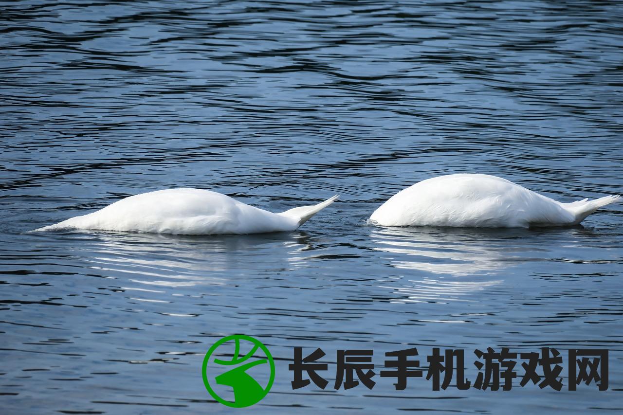 (许嵩歌曲《拆东墙》歌词解析及情感表达)许嵩歌曲《拆东墙》歌词解析及情感表达