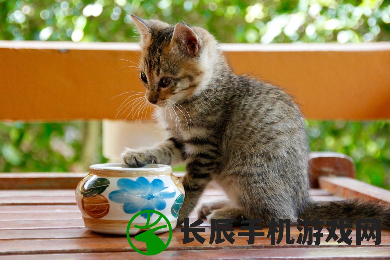 (澳门六开彩开奖结果241)2024澳门六开彩开奖结果查询表|探索城市发展新机遇_RX版.0.442