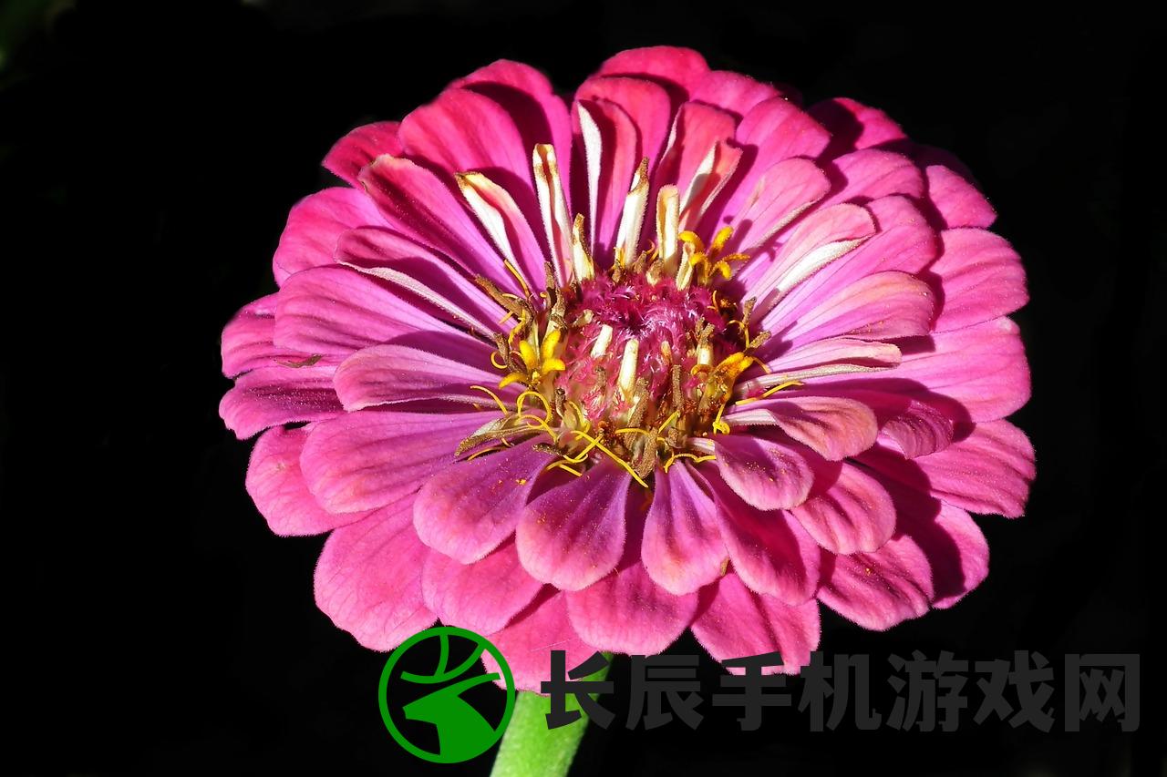 (特洛伊后传,奥德赛返航历险)特洛伊后传，古老传说与现代解读