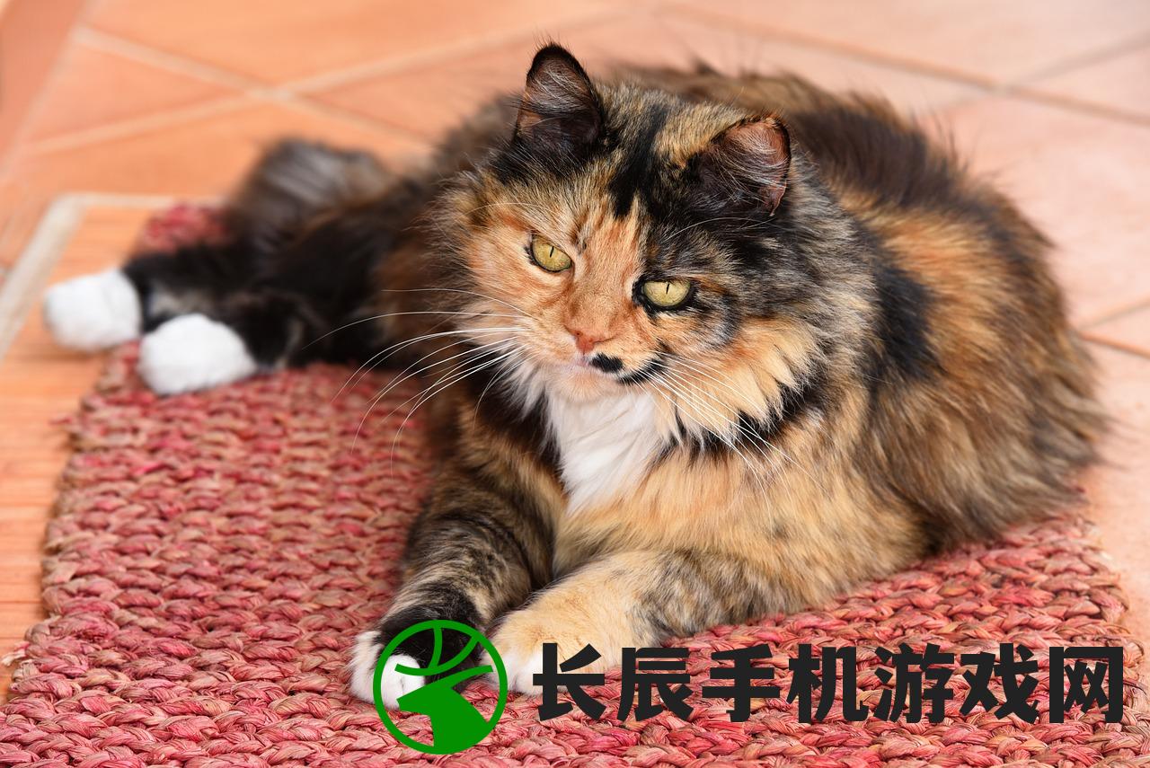 (异界之召唤武侠 寒光长剑)异界之召唤武侠，奇幻与经典的交融