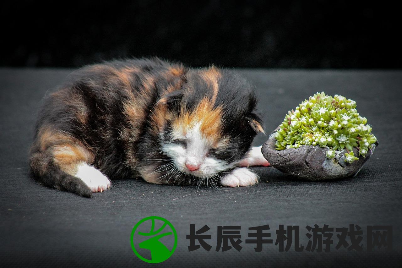 (人民币交易的传奇手游)打造自带RMB交易平台的传奇游戏，引领全新互动体验