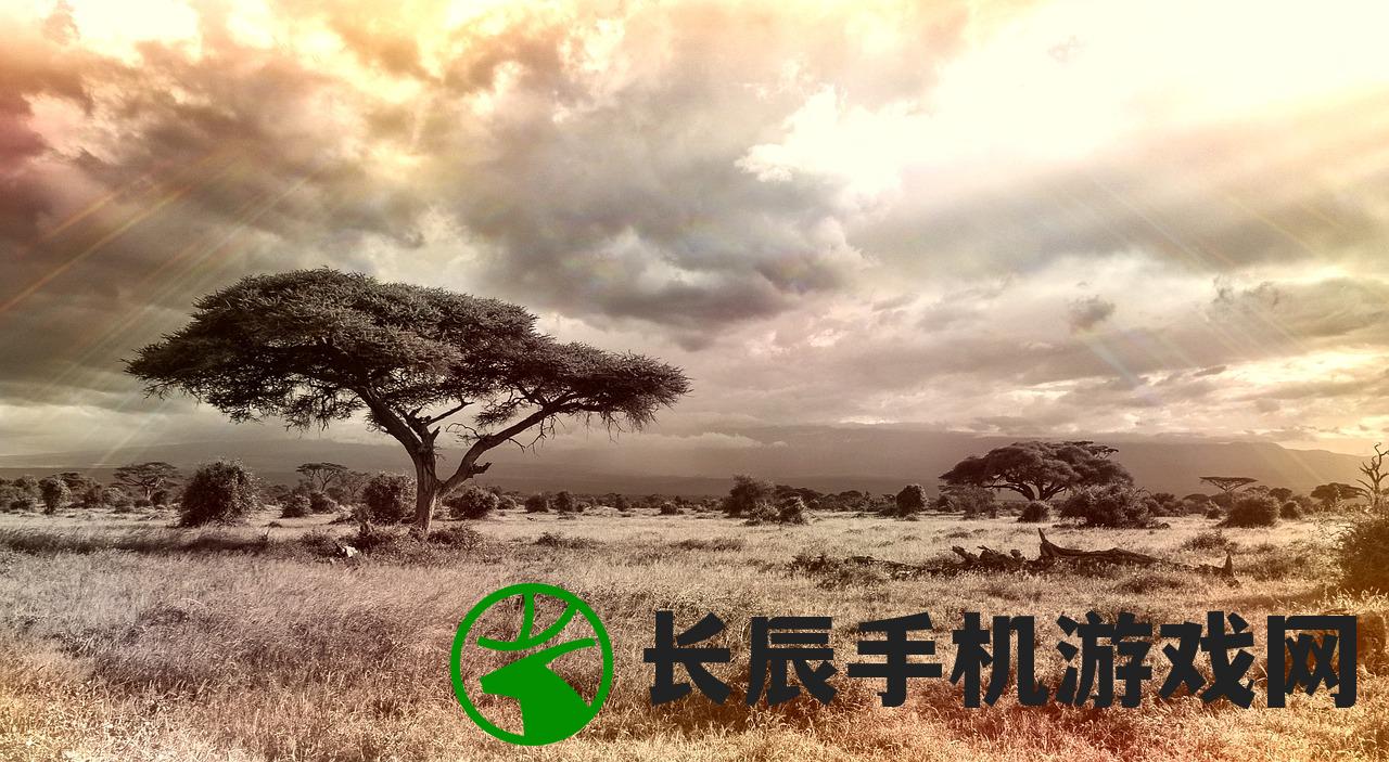 (机动奥特曼第二季国语版免费观看)机动奥特曼第二季，超越时空的战斗与剧情深度探讨