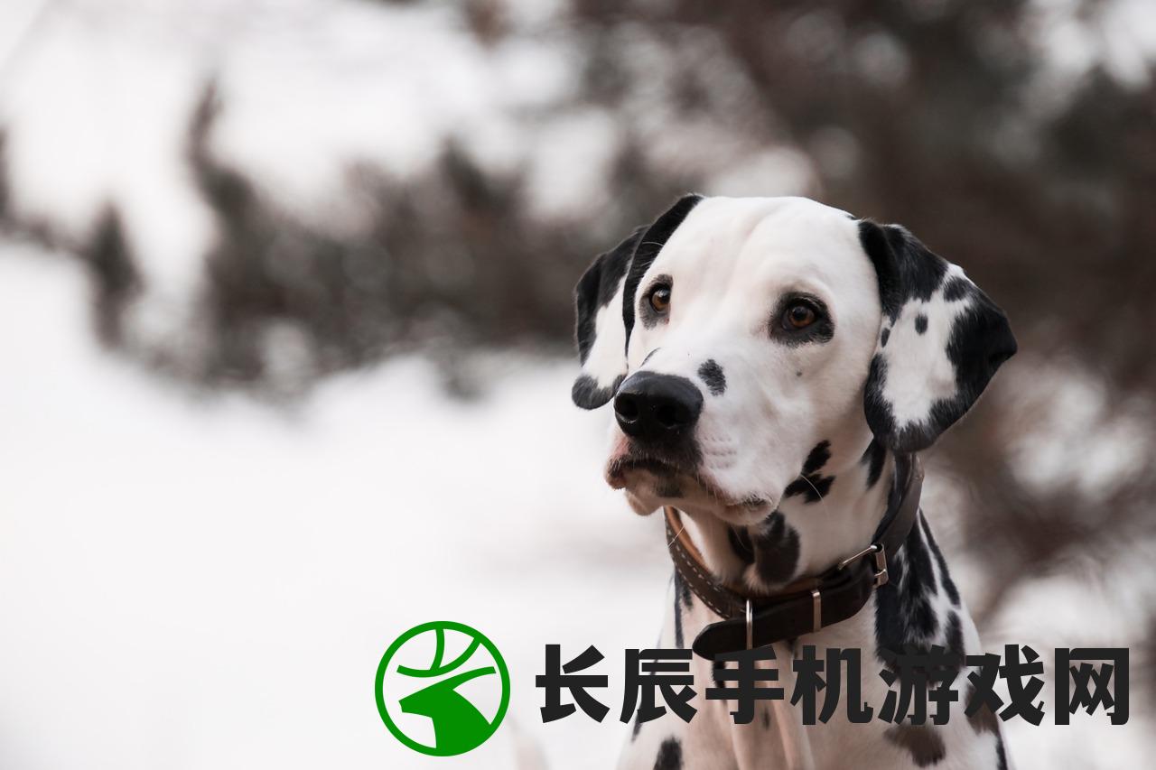 (荣誉勋章血战太平洋游戏攻略视频)荣誉勋章，血战太平洋全攻略详解及常见问题解答