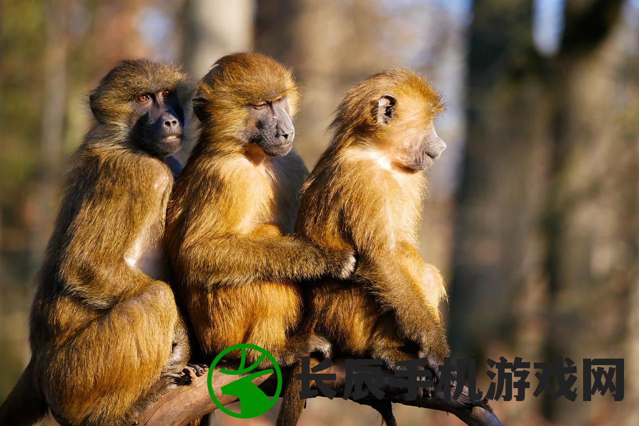 (神奇动物2 百度云)神奇动物2电影百度网盘：全高清资源分享，让您畅快欣赏