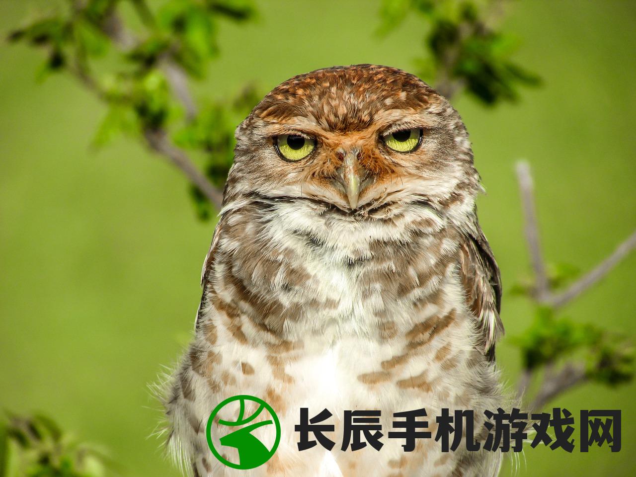 诸神黄昏之征服的宠物系统：掌控神灵，驯服异兽，游戏玩家的新挑战