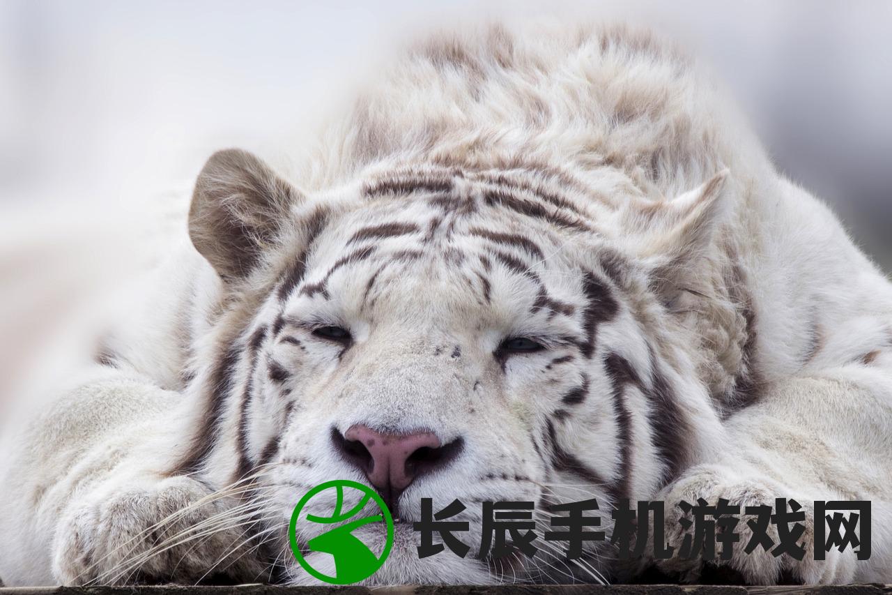 (世界之外易遇生日)探索未知领域，世界之外易遇的奥秘与挑战