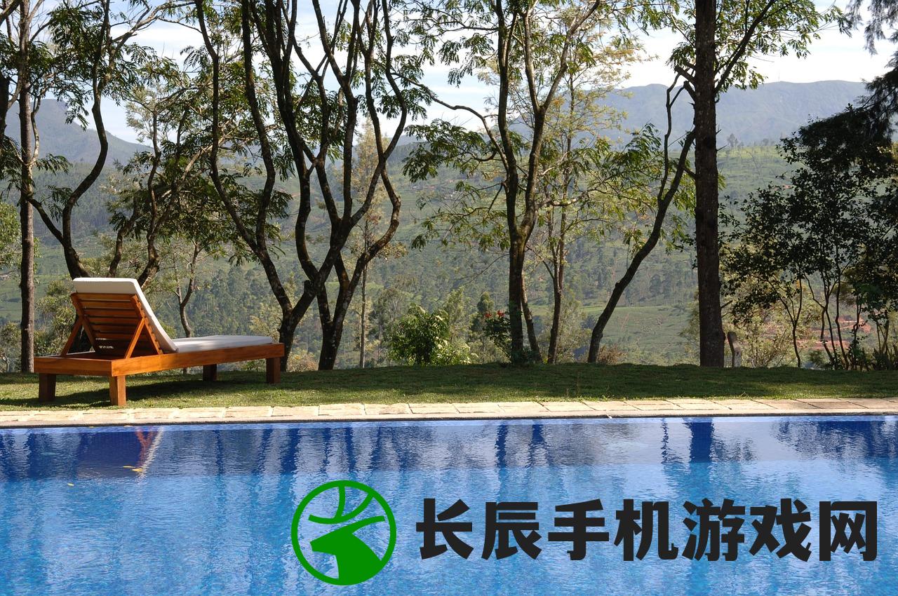 (下一站江湖潇隐村江湖人士)下一站江湖2云潇山庄小桥：探寻江湖传说中的秘密徽信。