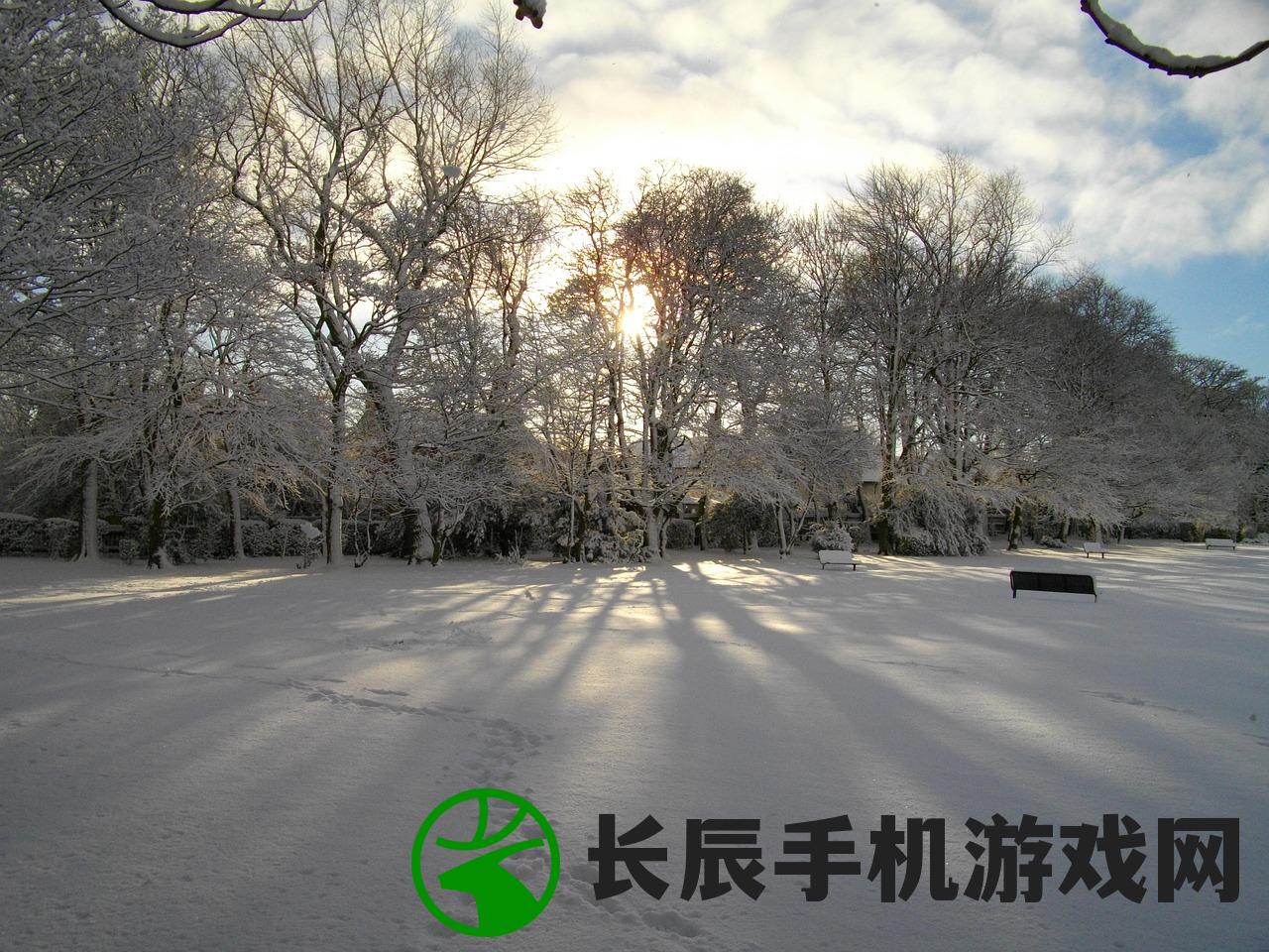 (无尽的冬季)冬日景点推荐：无尽冬日攻略详解大全，让你轻松玩转寒冬乐趣