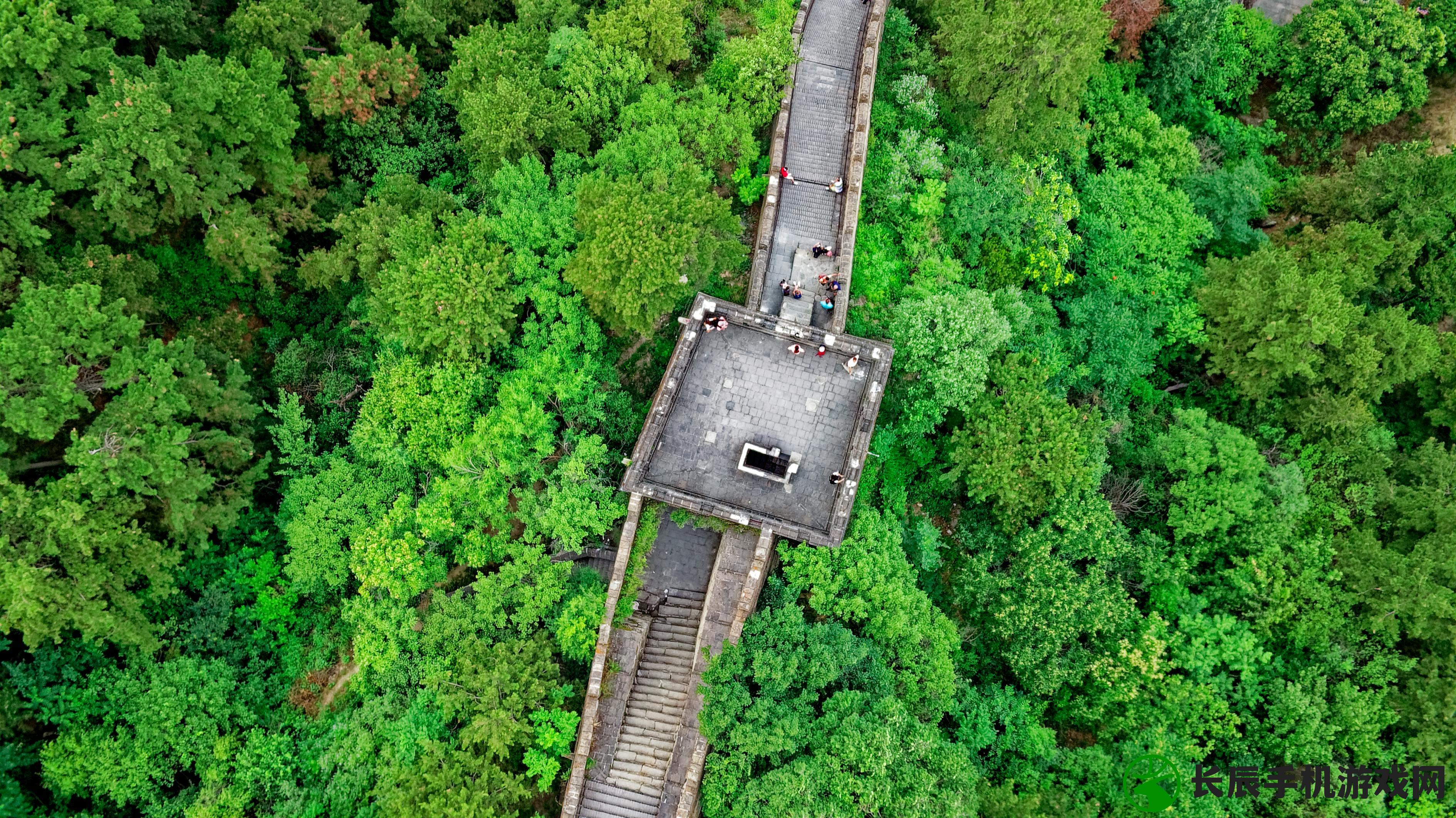 (武道的探索)探寻武道之道：从荒野世界开始的修行之旅