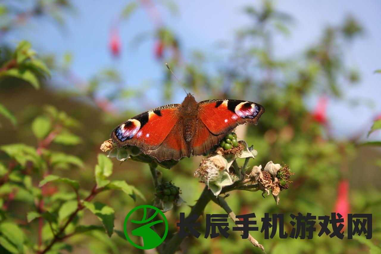 (天灵诀手游官网)天灵诀手游app，探索奇幻世界的无限魅力
