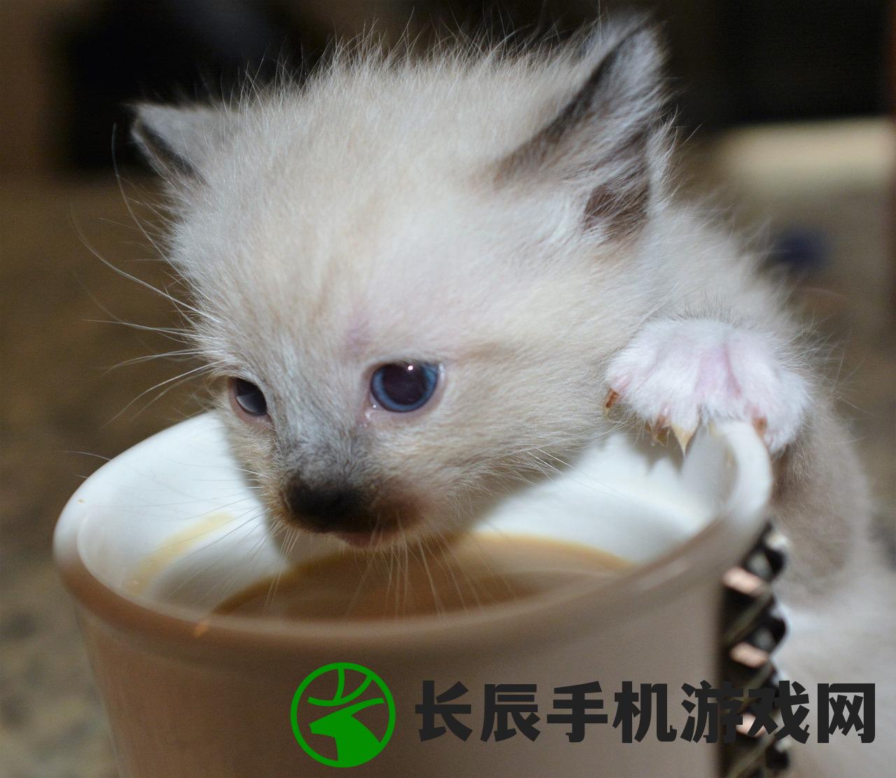 (南天仙族的帝姬长什么样子图片)南天仙族，神秘族群的多维解读