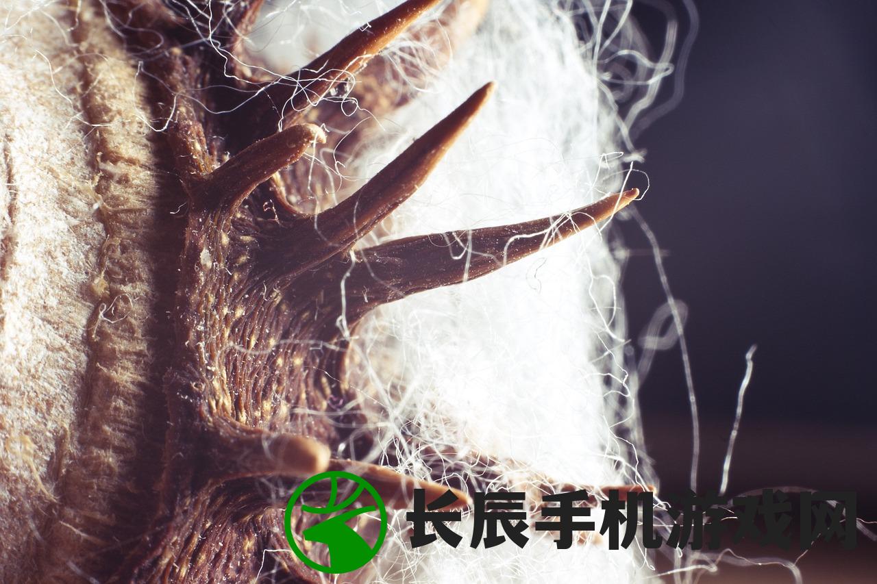 (白夜极光皮肤在哪)探寻神秘之美 白夜极光皮肤图鉴一览