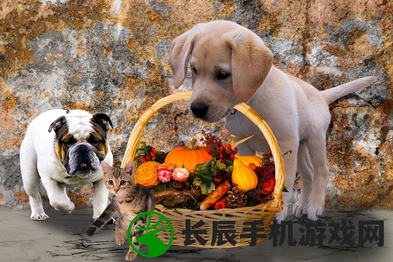 (番禺区宠物医院在什么地方)番禺区全新设立的宠物医院，为您的宠物健康护航