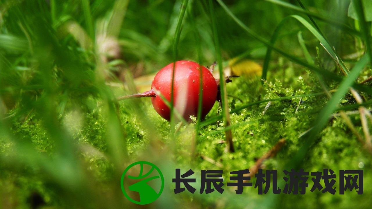 (剑域奇缘录新区冲榜顺序)剑域奇缘app，探索奇幻剑域世界的神秘奇缘