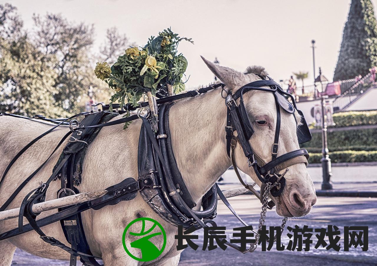 (2020年香港马资料最准的)2024年香港免费看马资料|掌握生活小窍门一步到位_试炼型.7.282