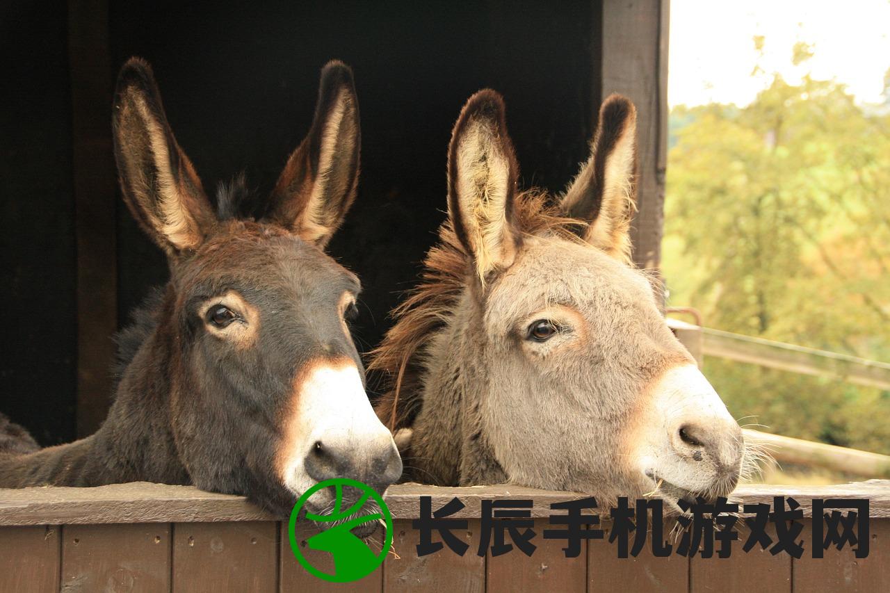 (球球英雄传奇球球升级)球球传奇之战段位解析与探讨