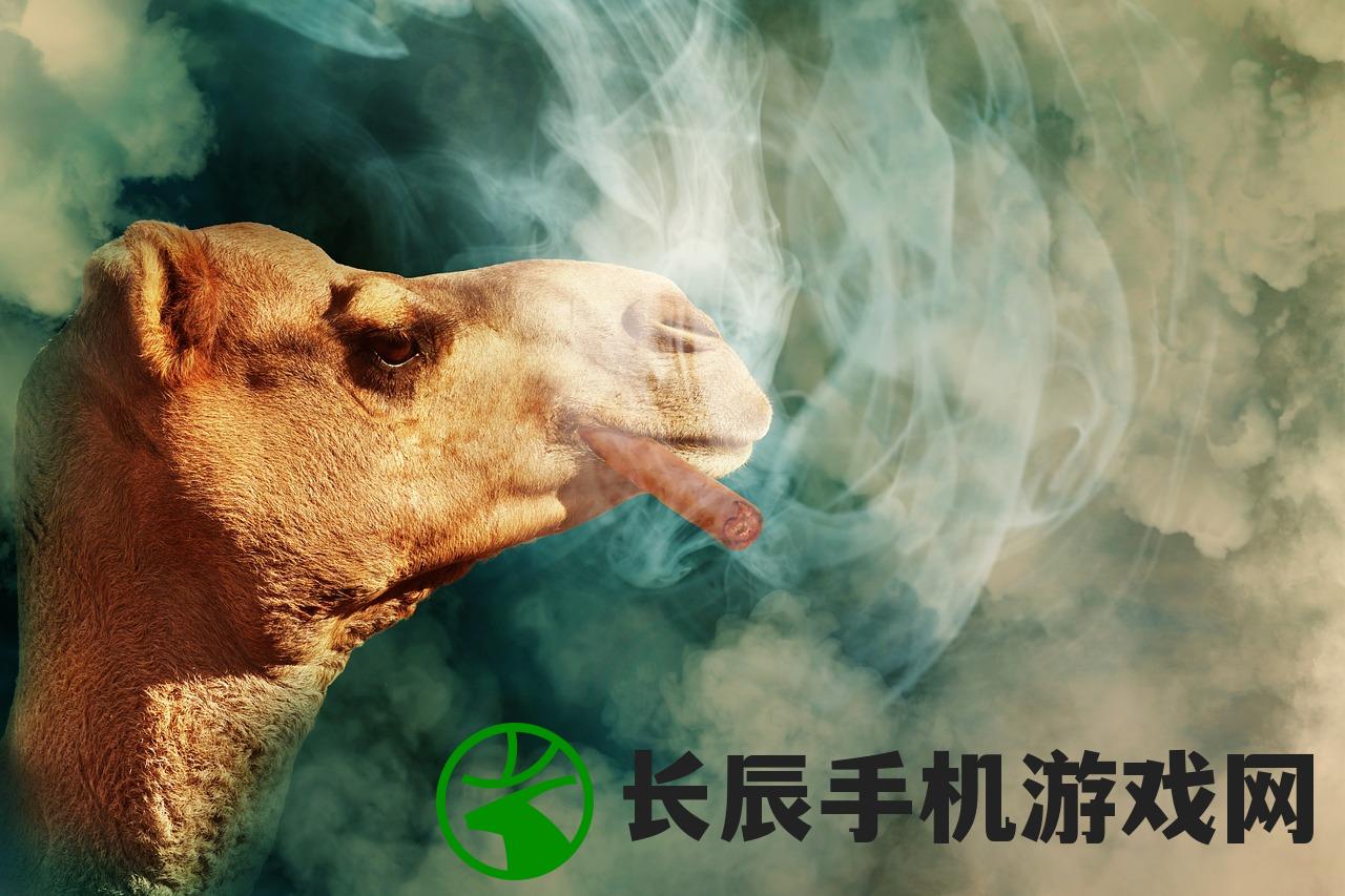 (天才枪手2024豆瓣)天才枪手2024，电影深度解析与探讨