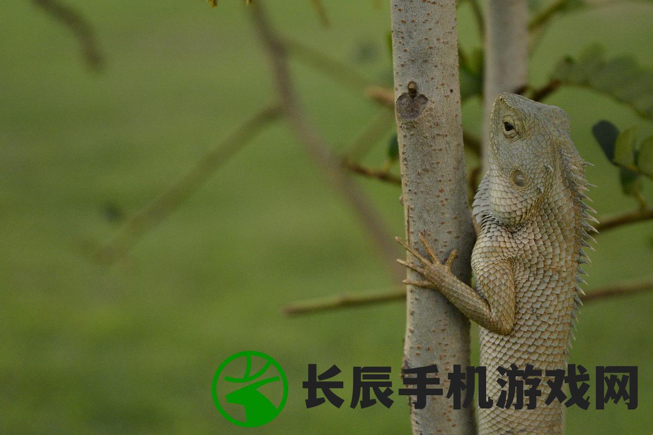(勇者冒险记所有boss抓住了怎么办)勇者冒险记，全BOSS捕捉攻略详解