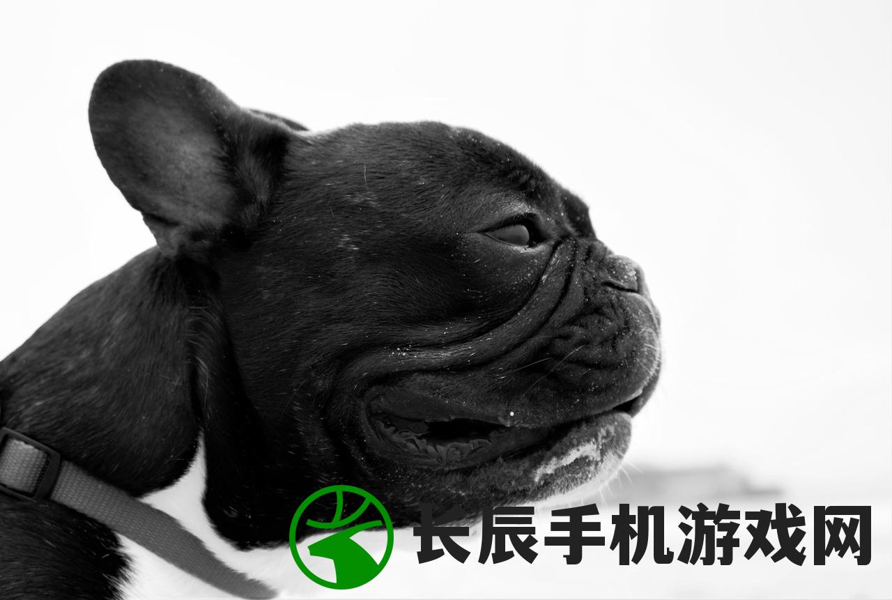 (御剑八荒激活码)御剑八荒无限充值码揭秘及相关探讨