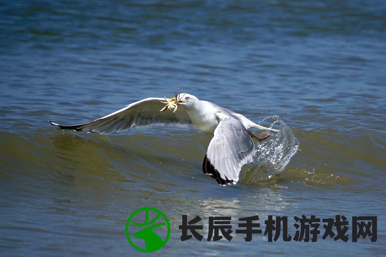 (汉末霸业最新免付费版攻略)汉末霸业最新免付费版，游戏深度解析与探讨
