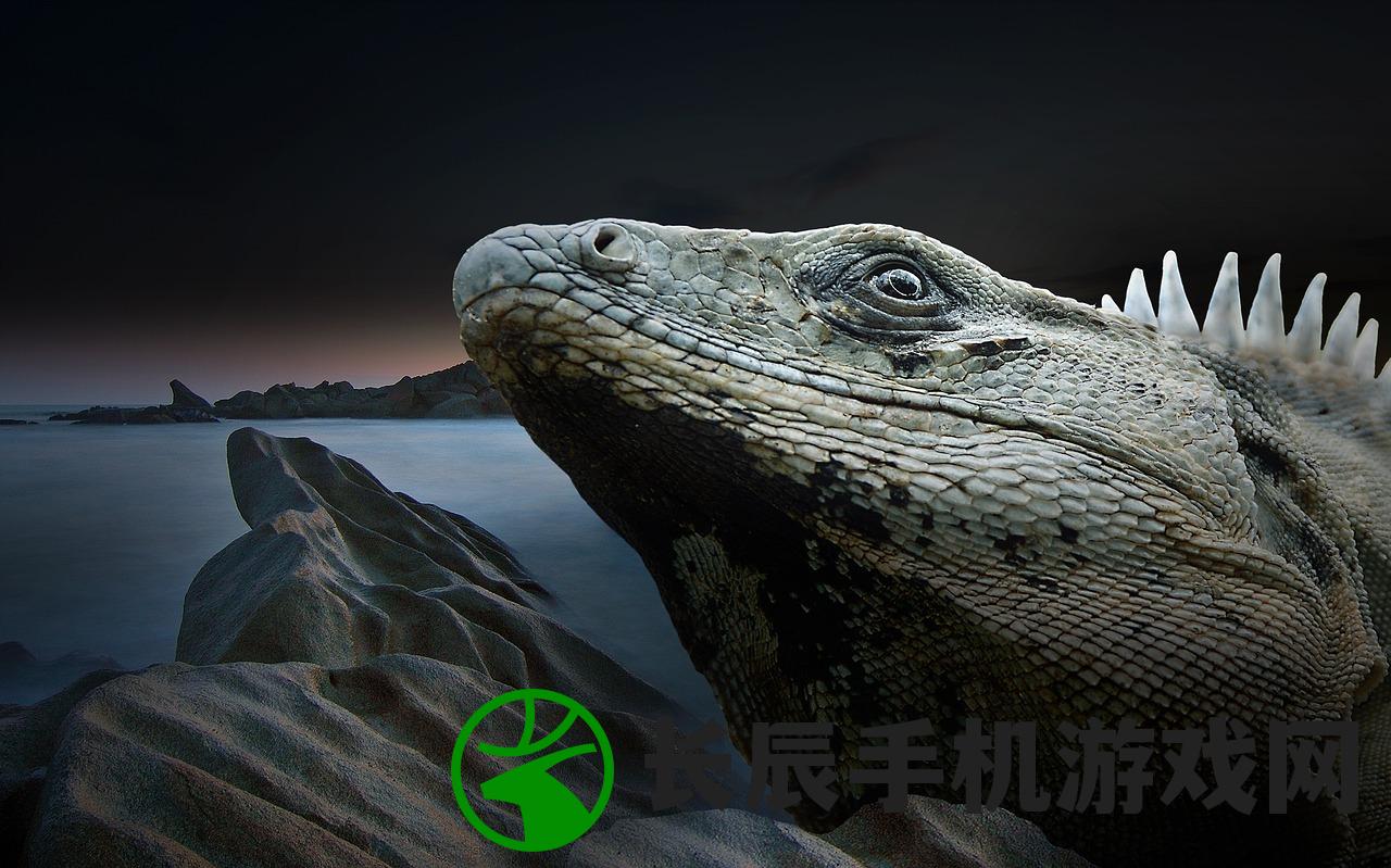 (龙骑战歌还能玩吗)口袋龙骑战歌，游戏新纪元之探索与挑战