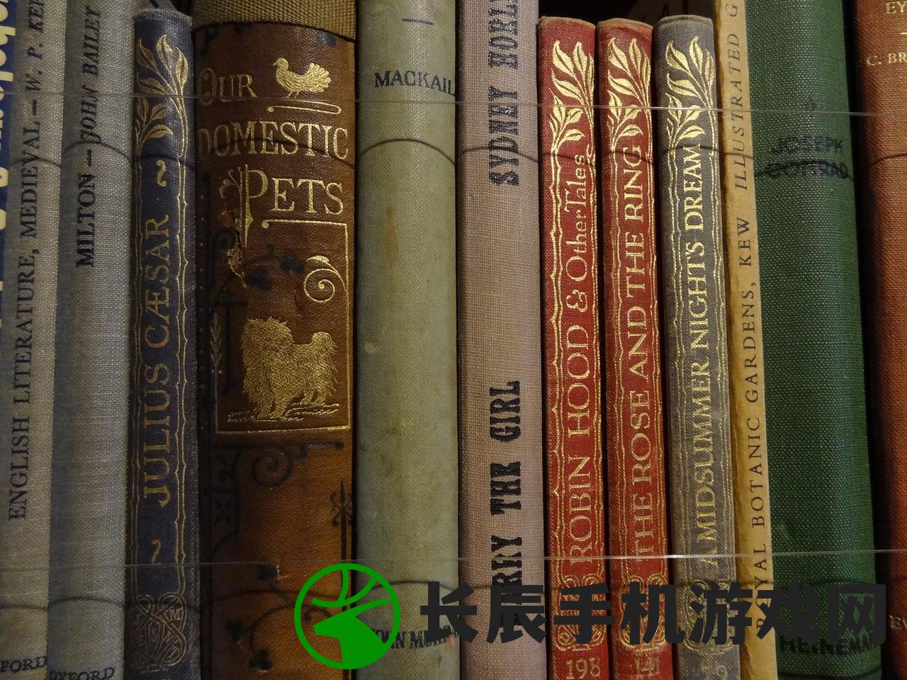 (箱庭arpg)关于箱庭小偶是否下架的探讨