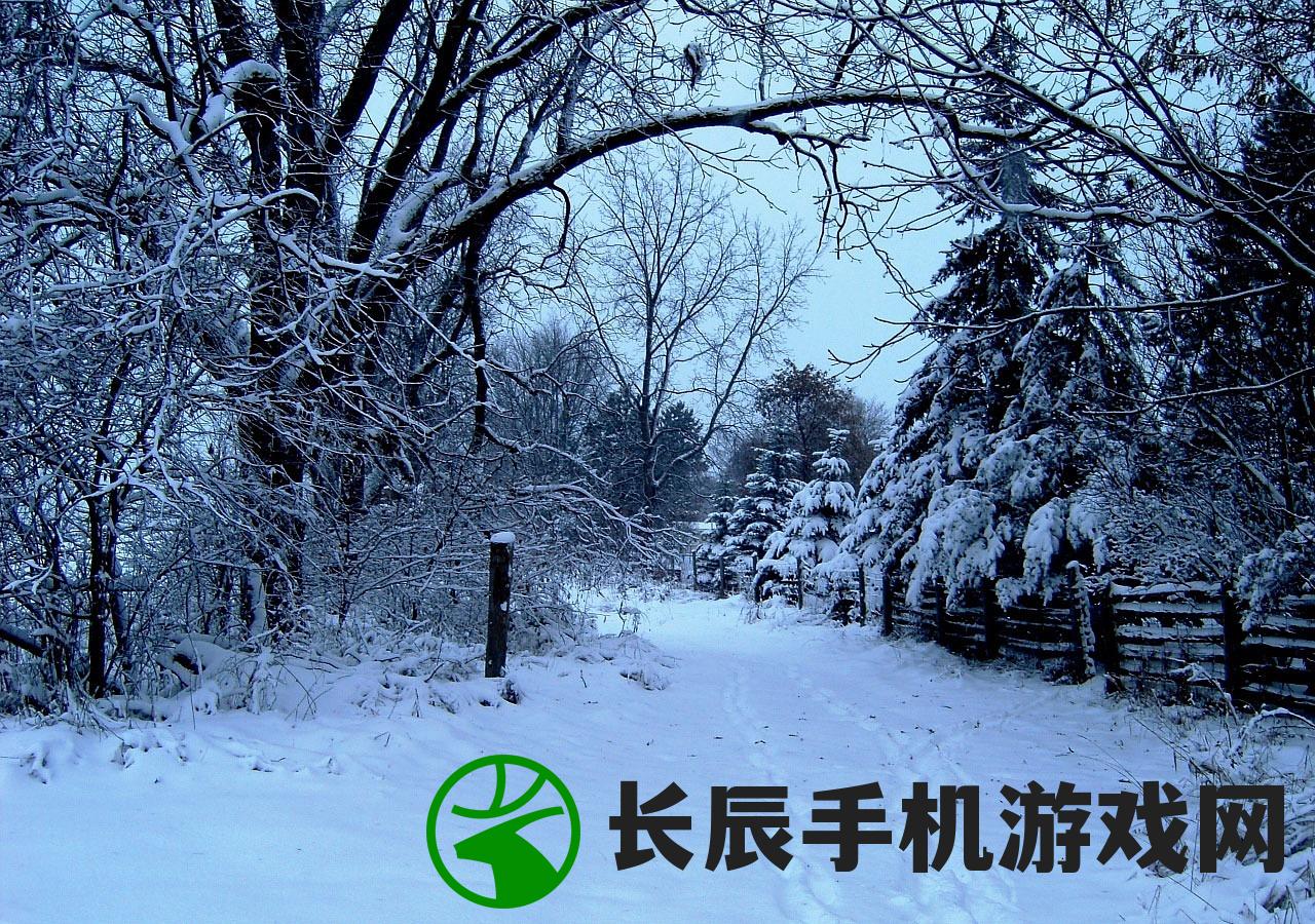 (仙剑奇侠传五前传攻略全图文)仙剑奇侠传五前传，重温经典，探寻故事新篇章
