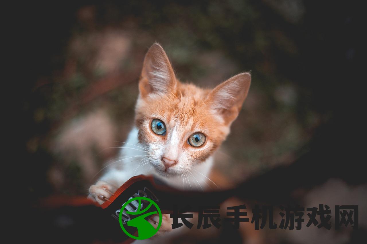 (钟真个人资料及简历)钟真，探索未知领域的先锋
