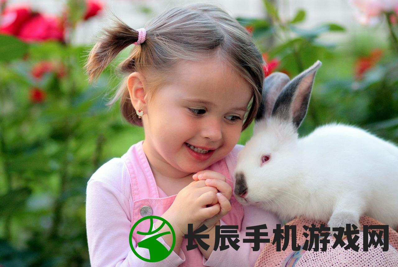 (假面召唤器模拟器)假面召唤器，神秘道具的多元解析与常见问题解答
