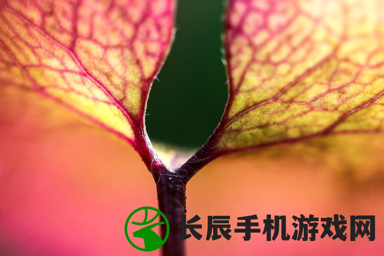 (保利桥3-1怎么过)保利桥3手机版复制粘贴操作指南及相关常见问题解答