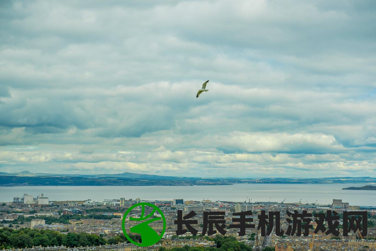 (元素代号是什么意思)代号元素之力国际版，游戏新纪元