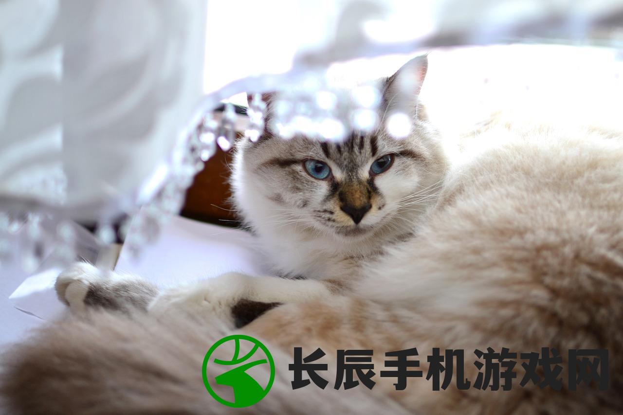 (热血江湖手游私sf平台)热血江湖手游，全新武侠体验与深度探索