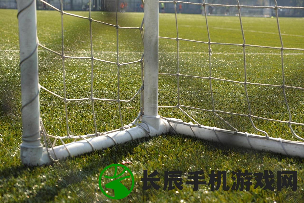 (天行宝贝下载)天行宝贝无限充值内购版，游戏新体验的深度解析