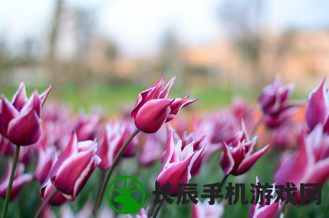 (百炼成仙修炼境界划分大全)百炼成仙，修炼境界的划分与探索