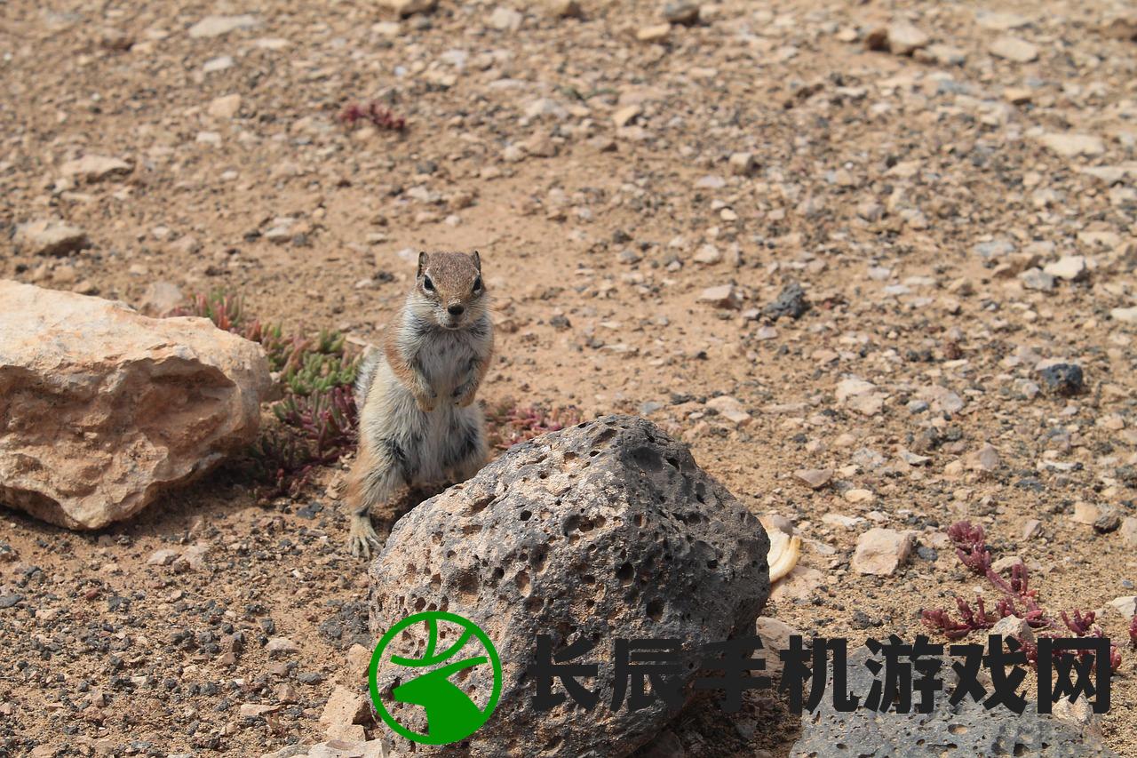 (顶级厨师为什么没拍第三季)顶级厨师停播原因深度解析