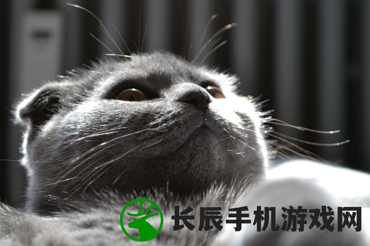 (特工416大战僵尸手游下载)特工416大战僵尸，游戏风云与英雄传奇