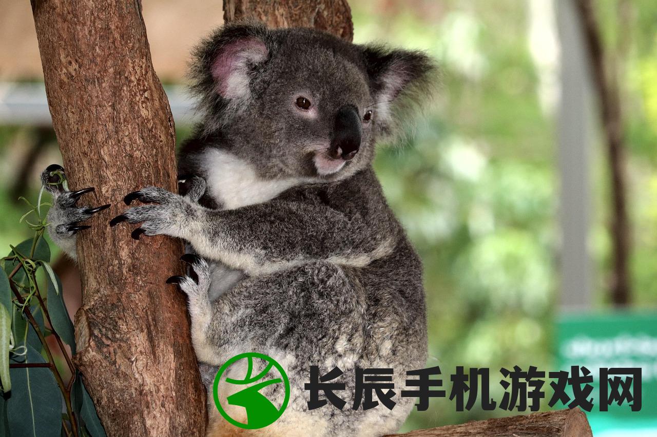 (固体是纯净物吗还是混合)固体是纯净物吗，深入解析与探讨