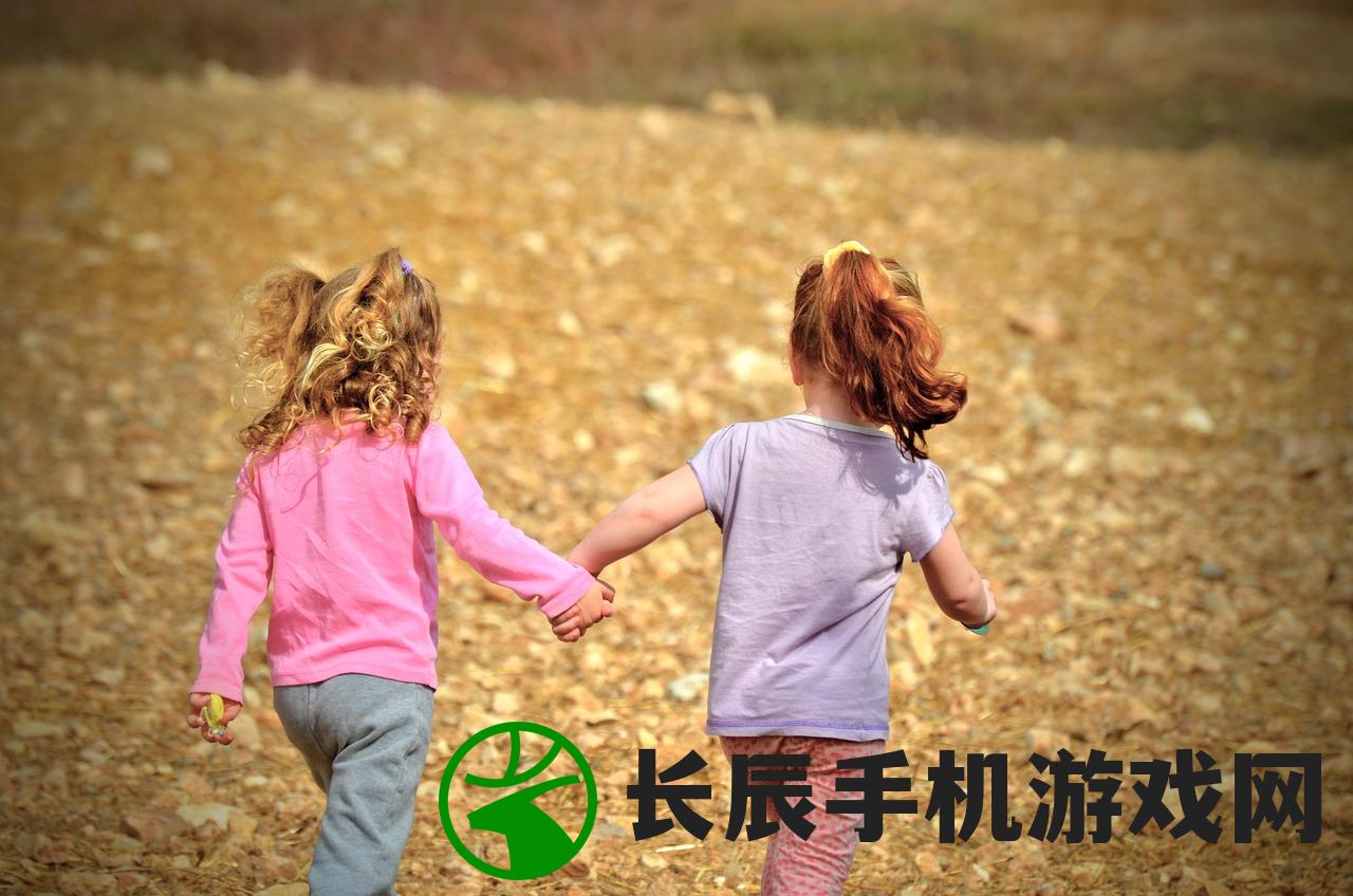 (功夫王者争霸游戏)功夫王者争霸，荣耀之战与技艺传承的碰撞
